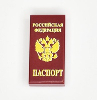 Tile 1 x 2 with print "Passport"