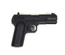 TT-33 Pistol Black