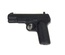 TT-33 Pistol Black